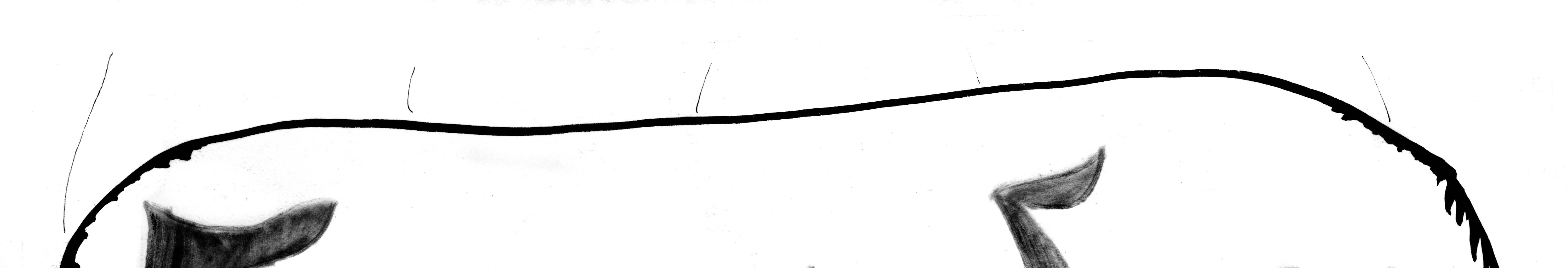 Image 1 Cut
